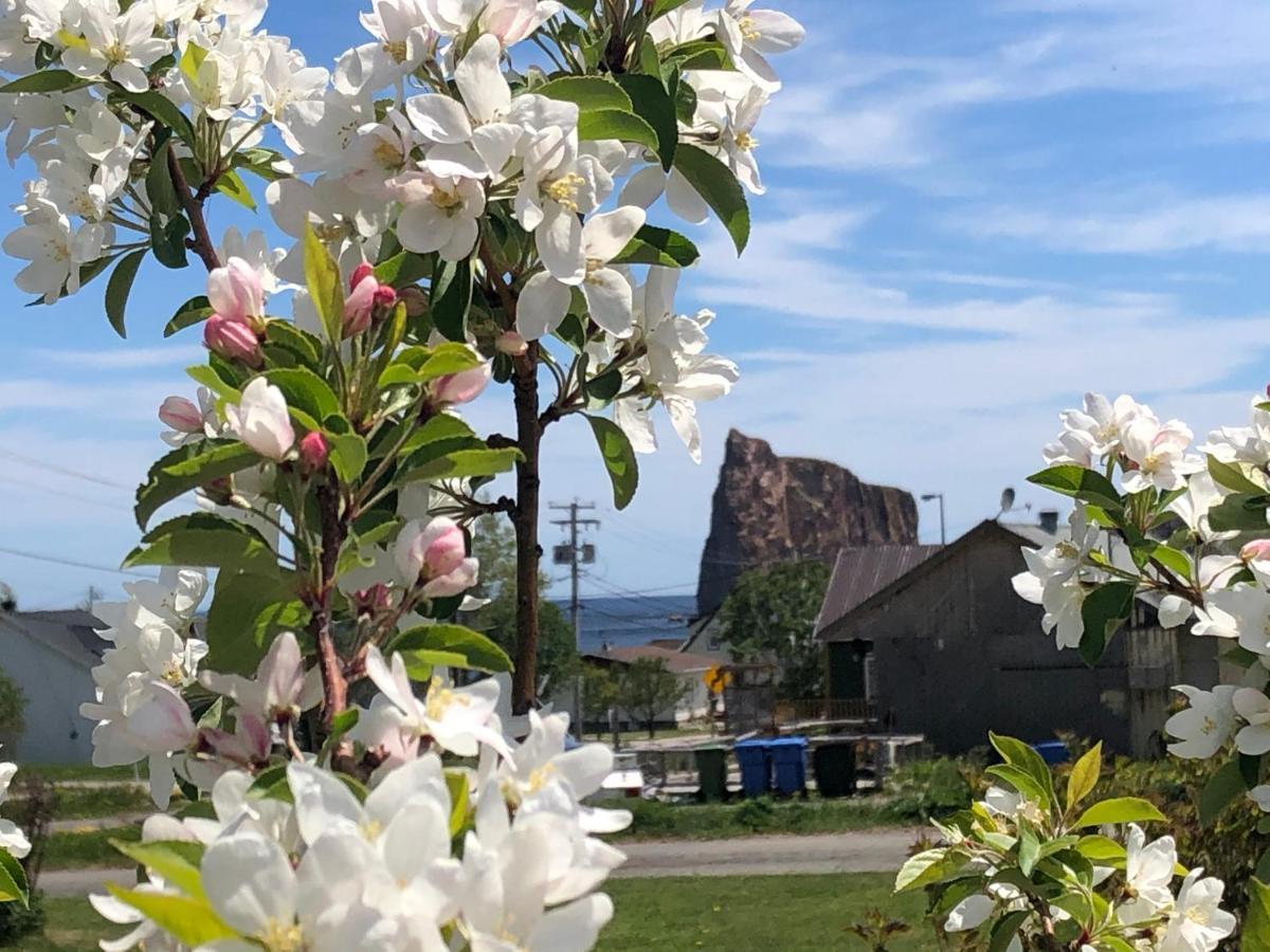 Motel Le Repos Perce Eksteriør bilde
